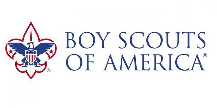 This nonprofit logo for the Boy Scouts of America includes an eagle and American shield in red, white, and blue.